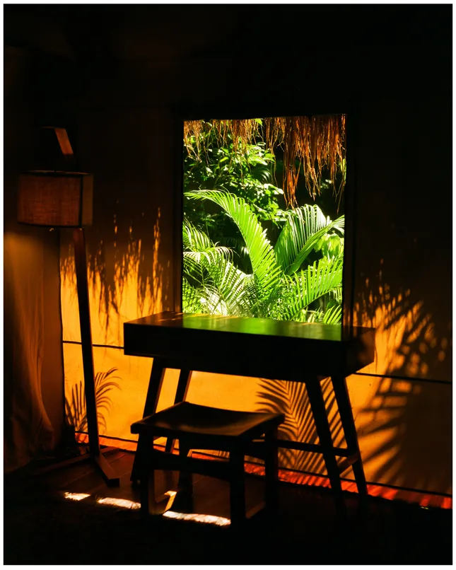 Project image