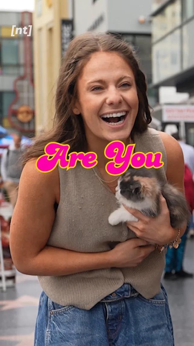 Are You Okay? - Courtney Parchman