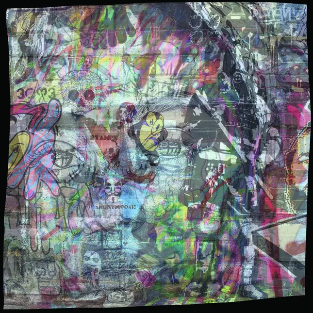 Project image