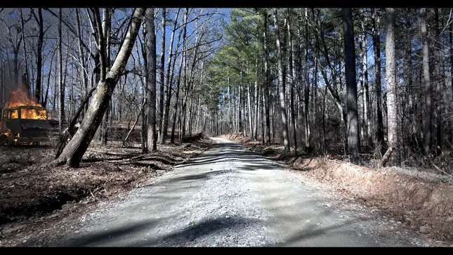 VFX, Green Screen, live action, tracking, set extension