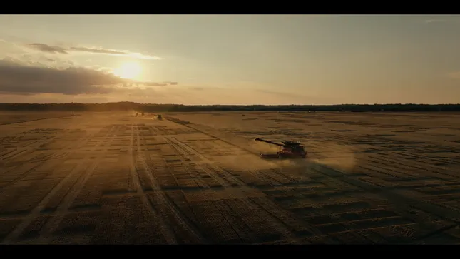 The Nitrogen Dilemna