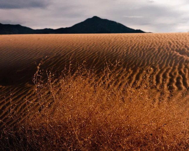 Dunes