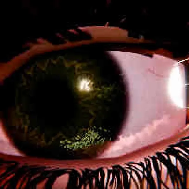 this dream was brought to you by entiteta