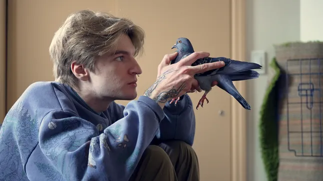 Cats With Wings - Social Documentary