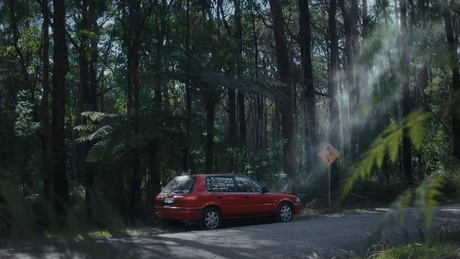 Jack Link's - Feed Your Wild Side