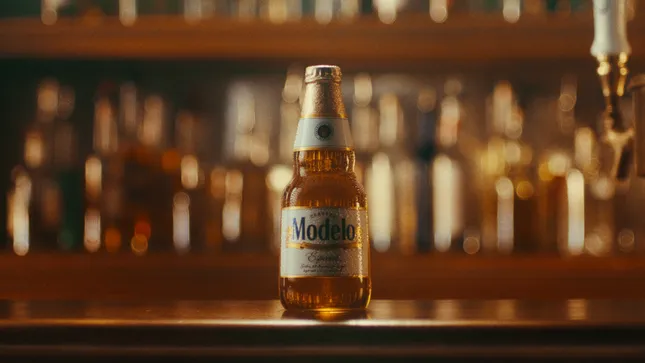 MODELO - MARK OF A FIGHTER