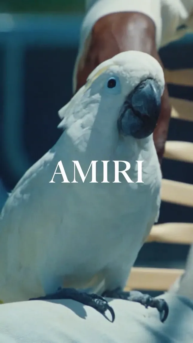 Amiri Content
