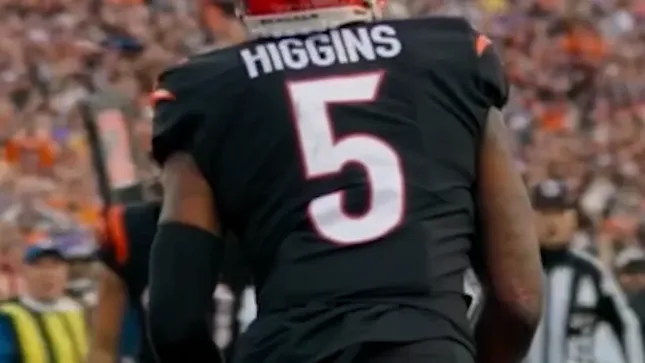 Tee Higgins - Highlight Video