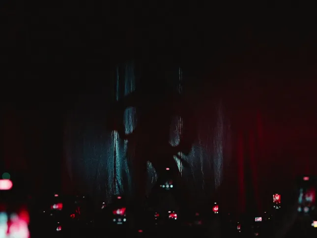 Pink pantheress recap night 1/2