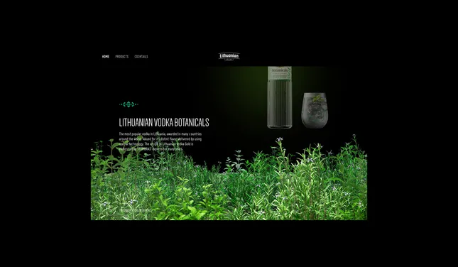 Web Experience: Lithuanian Vodka