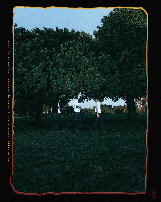 Project image