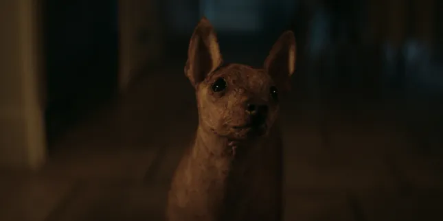 XOLO (short film)
