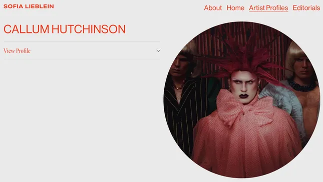 Callum Walker Hutchinson, Artist Profiling