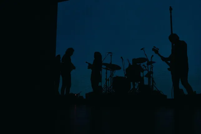 Project image