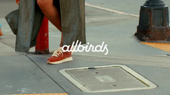 Allbirds Campaign Ads