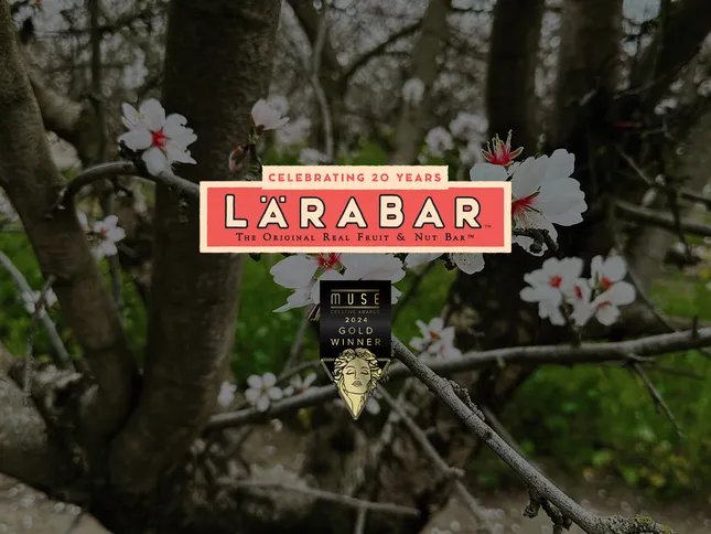 LÄRABAR 20th Anniversary Experience