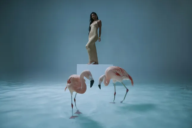 Spring (2) Campaign - Fashion Nova