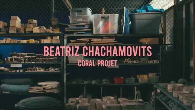 Beatriz Chachamovits (short documentary)