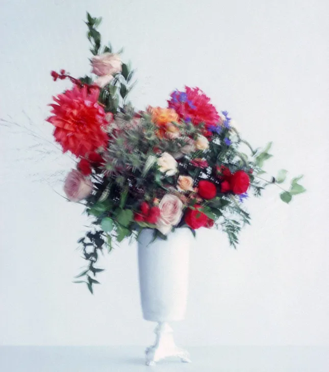 Adam Lippes Spring/Summer Lookbook and Campaign, 2019