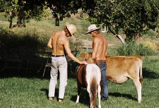 Cowboy Colostrum Campaign '24