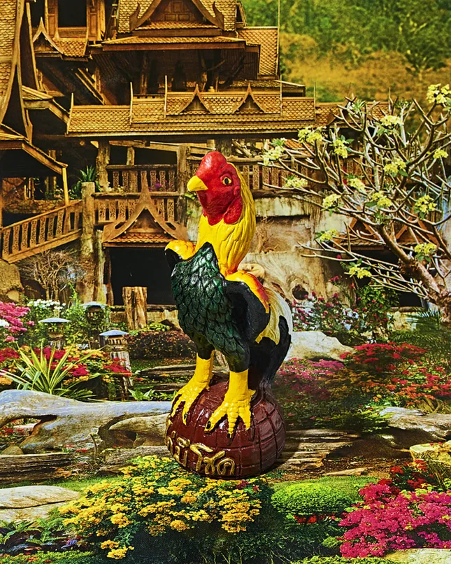 Project image