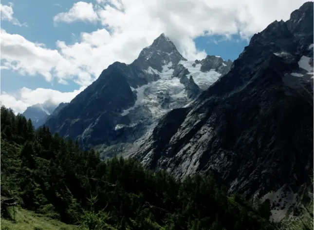 Salomon: Nature Always Finds A Way