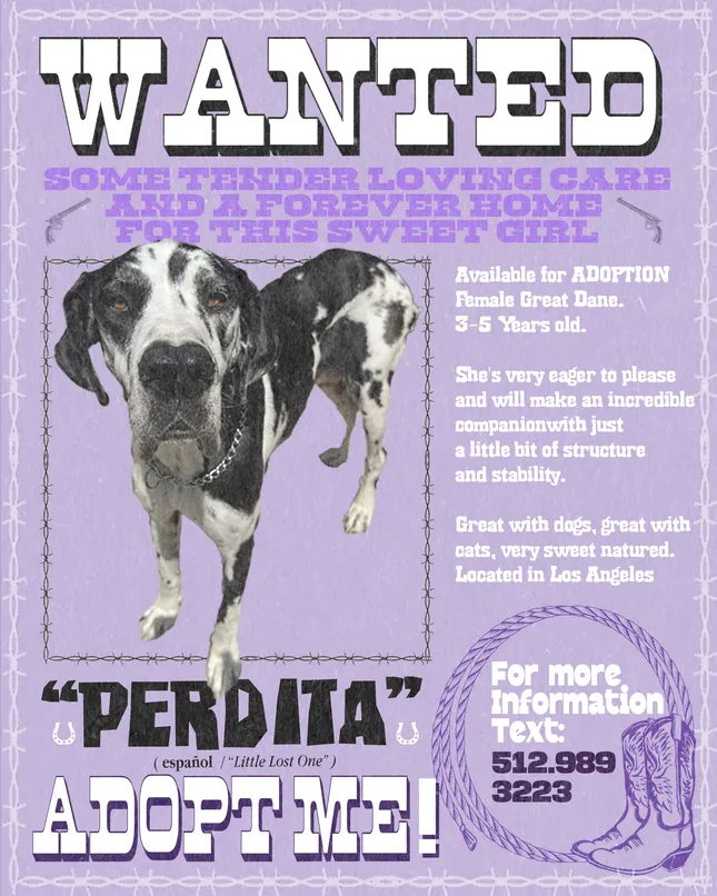 Adopt Me!
