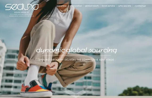 Seduno Group New York, Website