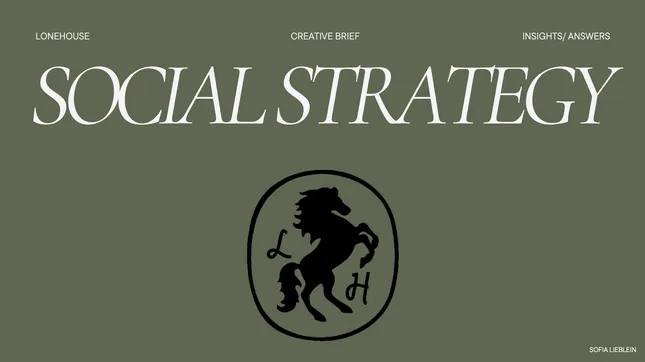 Social Strategy: Lonehouse