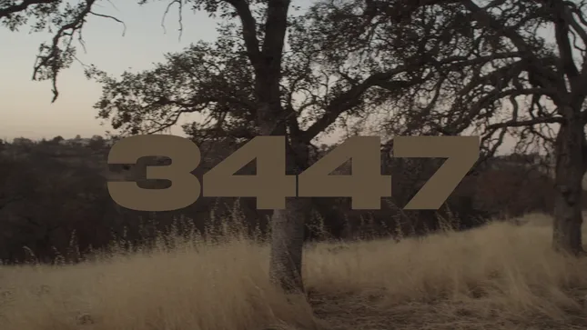 3447 Trailer