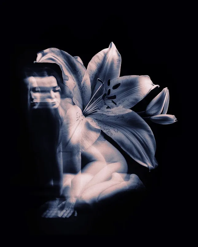 Lily Reverie