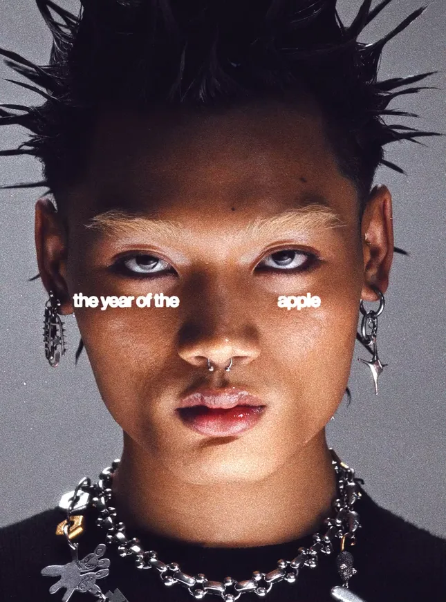 Year of the AppleDoll