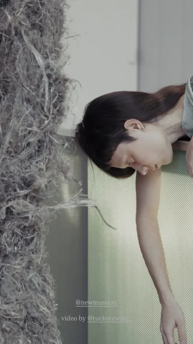 Art Installation – New Museum: Klára Hosnedlová