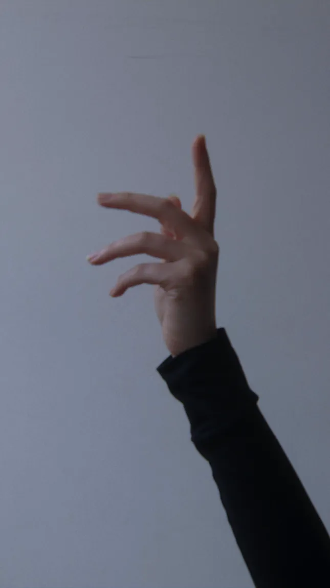 Exploring movement