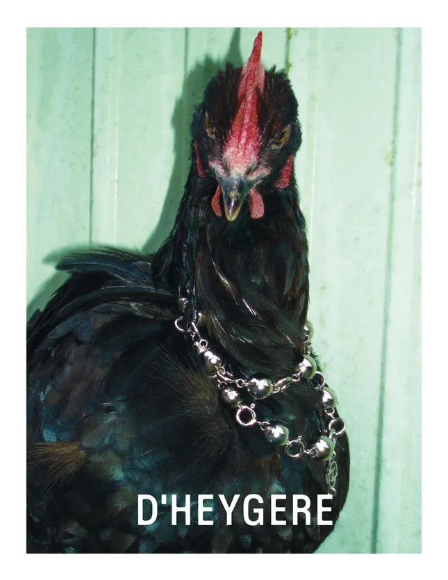 D‘Heygere Campaign