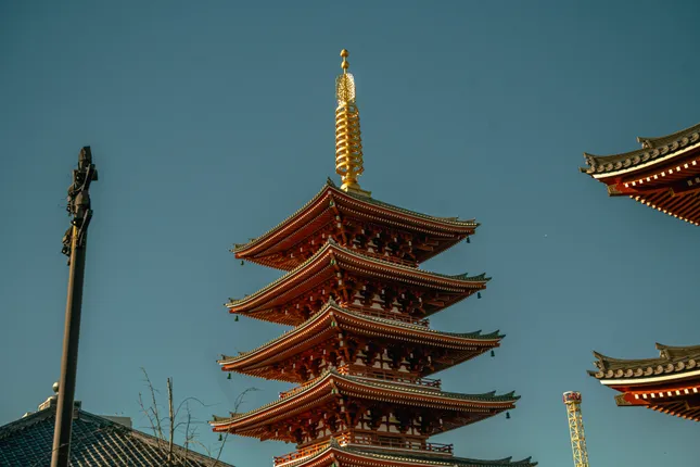 Project image