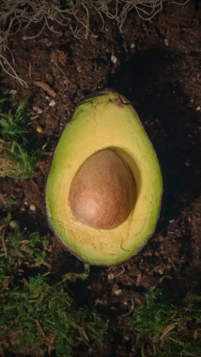 AGA NATURE PRODUCT VIDEOGRAPHY