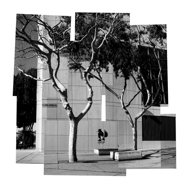 Project image