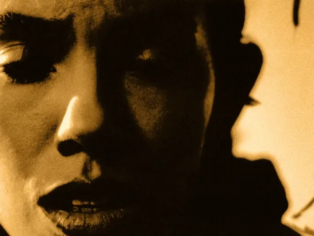 if we never met - rosevile sucks