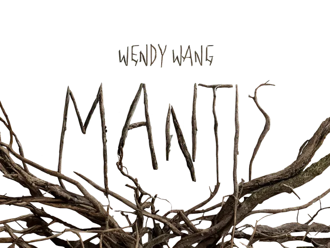 Type for Wendy Wang’s “Mantis” MV