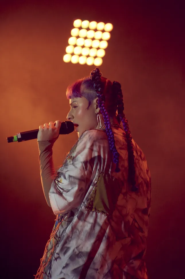 Concert Coverage for Artists