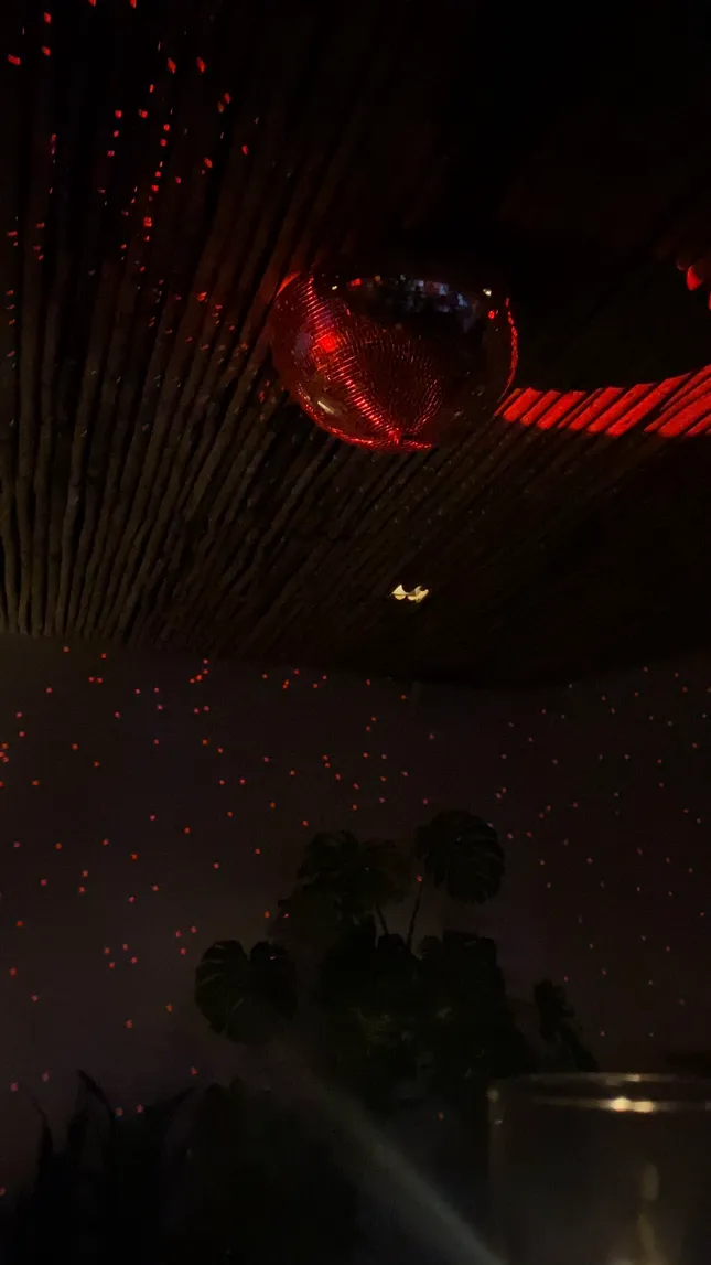 24 inch Hemisphere Rose Gold Disco Ball with built in motor for Coral Club in East Nashville