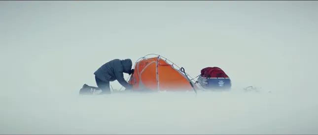 Resilience