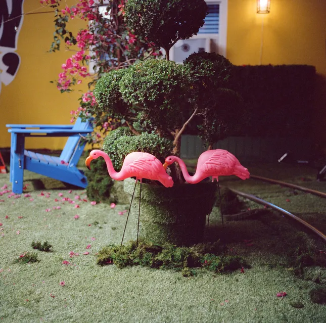 Project image