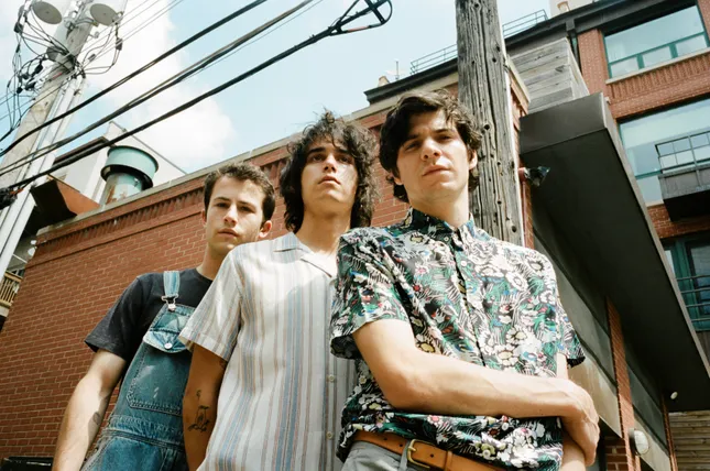Wallows, Local Wolves