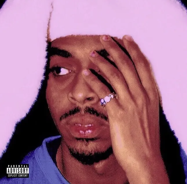 BUNNY ALBUM  ARTWORK