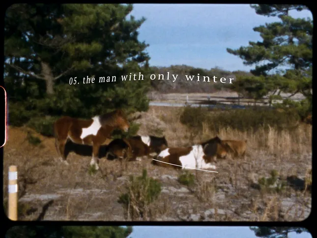 landscapes" - EP Visual Preview