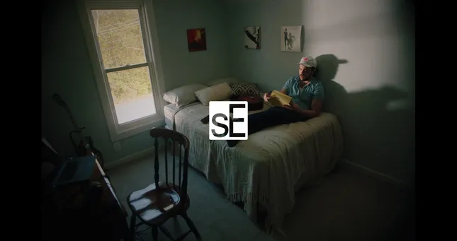 SE Electronics Ad