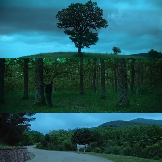 Project image