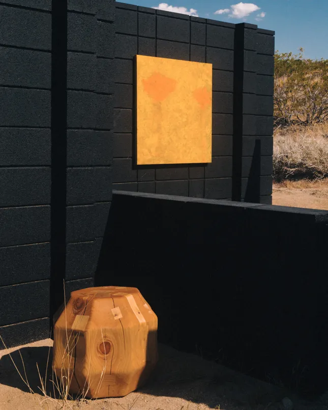 Project image